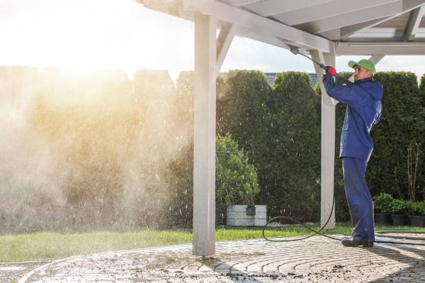 Best Driveway Pressure Washing  in Idyllwild Pine Cove, CA